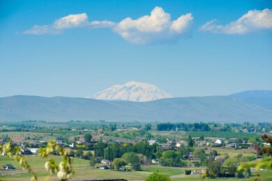 View of Mt. Adams