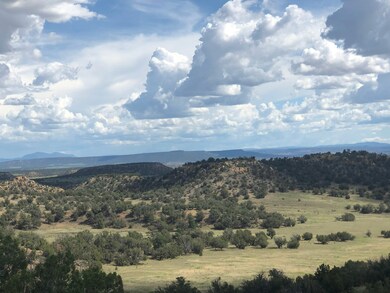 0 Nsn Highway 36 unit 11615222, Fence Lake, NM 87513 - photo 2