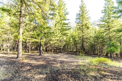 14297 Caddisfly Ct, Clinton, MT 59825 - photo 7