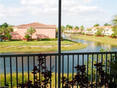 View from the screened patio