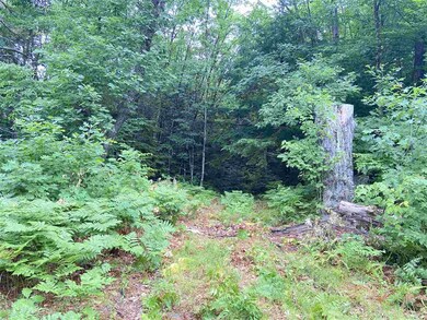 1069 County Rd, Walpole, NH 03608 - photo 2