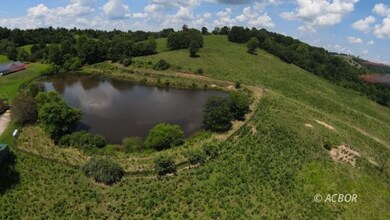 pond