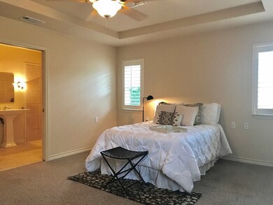 706 Lupine Ln, Fredericksburg, TX 78624 - photo 5