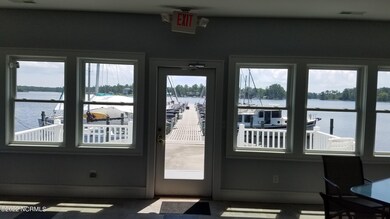 View of Marina from Bird's nest