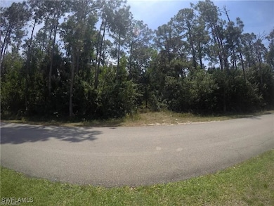 5700 Cedar Tree Ln, Naples, FL 34116 - photo 2