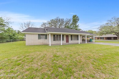 1281Mockinbird-7