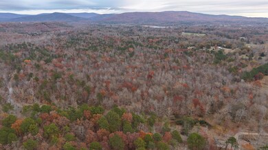 TBD Hallelujah Ln, Mena, AR 71953 - photo 6