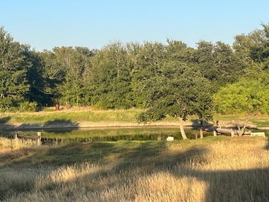 9559 County Road 133, Brownwood, TX 76801 - photo 6