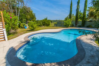 8 Seahorse Ct, Isle of Palms, SC 29451 - photo 4