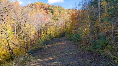 DJI_20241024123144_0057_D