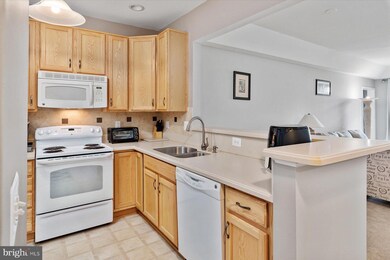 8609 Wintergreen Ct unit 201, Odenton, MD 21113 - photo 6