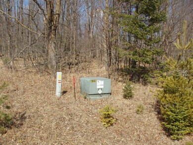 4th Add. Margaret Ln unit Lot 14, Park Falls, WI 54552 - photo 4