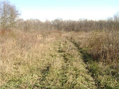 Land. 29.2 full acres of woods, shrubbery and a building lot too!