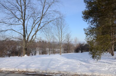 376 Pheasant Ridge Rd, Lewisburg, PA 17837 - photo 4