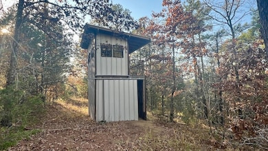 Snow unit OK, Snow, OK 74567 - photo 6