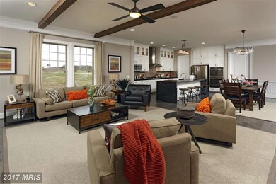 41686 Brookebourough Ct, Aldie, VA 20105 - photo 4