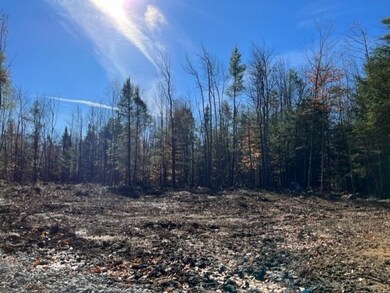 0 Windsor Rd unit 9 4887482, Hillsborough, NH 03244 - photo 2