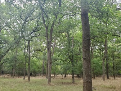 000 Horseshoe Bend Ct, Weatherford, TX 76087 - photo 4