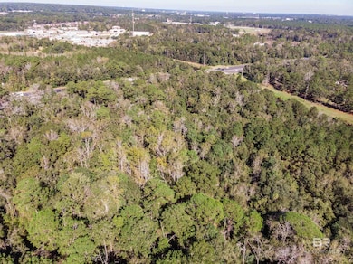 0 Rosie's Rd unit 2, Mobile, AL 36693 - photo 5