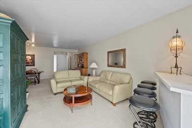 131 Autumn Ct unit CT10602, Buffalo Grove, IL 60089 - photo 5