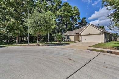 30538 Mystic Canyon Dr, Spring, TX 77386 - photo 2