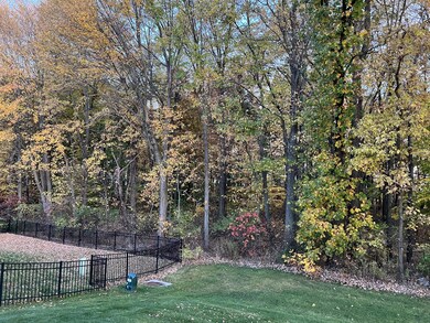 IMG_5491