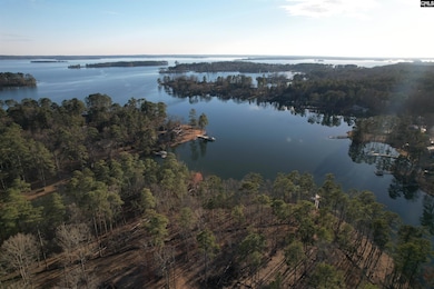 1533 Saugus Ct, Chapin, SC 29036 - photo 3