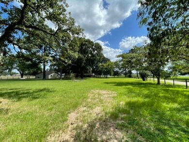 27111 Decker Prairie Rosehl Rd, Magnolia, TX 77355 - photo 3