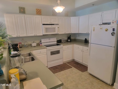 210 Raceday Center Dr unit 1505, Bristol, TN 37620 - photo 3