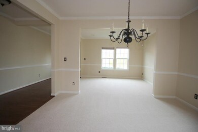 10 Naples Rd, Stafford, VA 22554 - photo 7