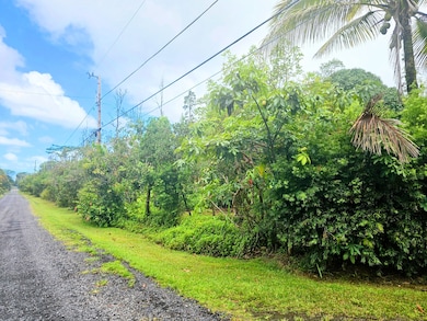 15-2031 24th Ave, Keaau, HI 96749 - photo 6