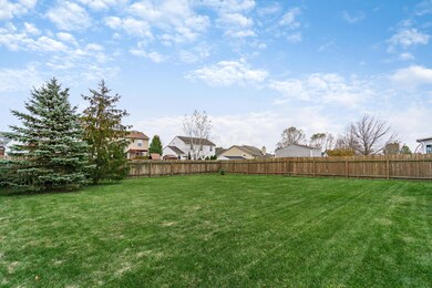 Deep Back Yard