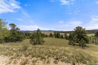 194 Rawhide Way, Como, CO 80432 - photo 6