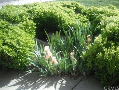 Mature landscape.  Auto sprinklers.