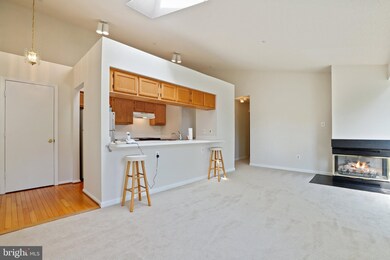 2701 Leaf Drop Ct unit 11, Silver Spring, MD 20906 - photo 5