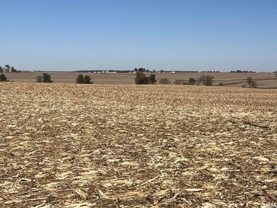 00 230th St, Maysville, IA 52773 - photo 5