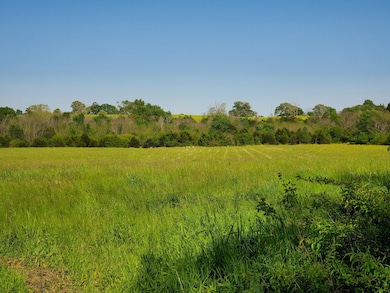 190 Temple Ford Rd, Shelbyville, TN 37160 - photo 4