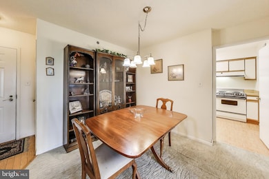 3330 N Leisure World Blvd unit 5-1015, Silver Spring, MD 20906 - photo 2