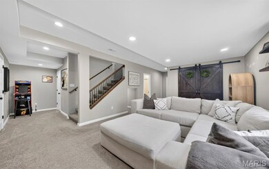 Basement living room