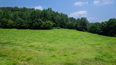 0 Hagan Rd, Prospect, TN 38477 - photo 2