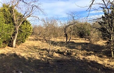 L11BA Floyd Ct, Weatherford, TX 76087 - photo 3