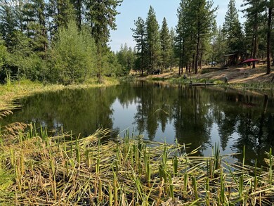 Pond