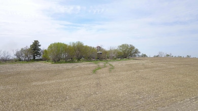 1290 270 Th St, Nashua, IA 50658 - photo 3