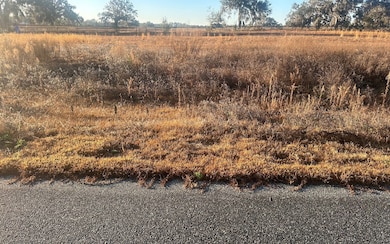 0 98th Pass unit 125976, Live Oak, FL 32060 - photo 3