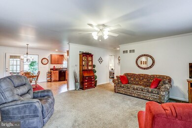 159 Shalom Dr, Denver, PA 17517 - photo 4