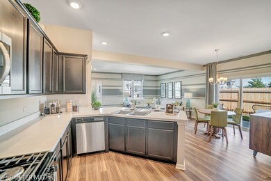 1018 Celebration Dr, Aurora, IL 60504 - photo 4