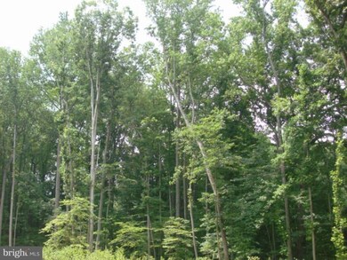 888 Mount Zion Marlboro Rd, Lothian, MD 20711 - photo 5