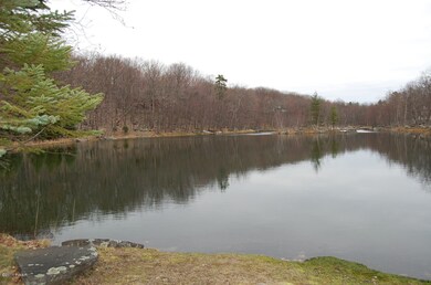 131 Broadmoor Dr, Hawley, PA 18428 - photo 3