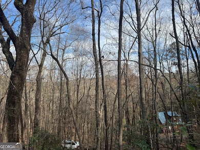 0 Geneva Place unit 10648180, Sautee Nacoochee, GA 30571 - photo 3