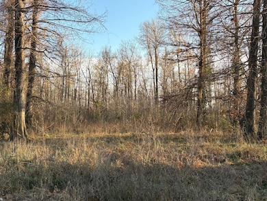 TBD Manatt Dr, Corning, AR 72422 - photo 2